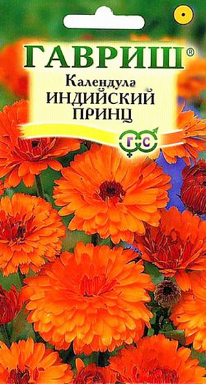 Семена Календула Индийский принц.
Популярное неприхотливое растение из семейства Астровых. Цветет с июня до заморозков. 
Цветение обильное и продолжительное, особенно при удалении отцветших соцветий. Соцветия бронзово-оранжевые с темным центром. 
Календула светолюбива и предпочитает легкие почвы, холодостойка - выдерживает до -5 C. Размножают прямым посевом в грунт. 
Семена высевают весной или под зиму, всходы появляются через 7-10 дней, их через некоторое время прореживают на расстоянии 20 см. 
Зацветает через 10 недель после посева. Сорт подходит для цветников и получения срезки.