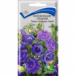 Семена Колокольчик Чашка с блюдцем синий средний