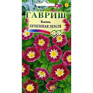 Семена Вьюнок трехцветный Огненная земля