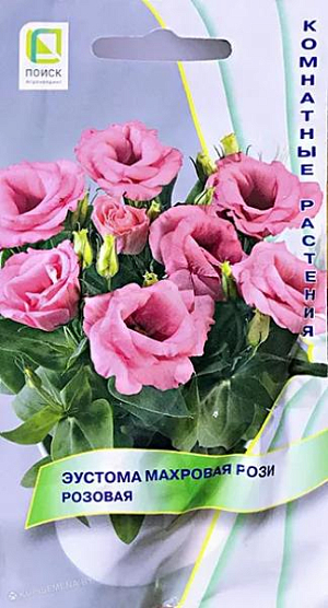 Семена&nbsp;Эустома махровая Рози Розовая.&nbsp;<br>
 Генетически низкорослая махровая крупноцветковая серия.&nbsp;Растение компактное с хорошим ветвлением, высотой 15-20 см. Листья сизо-зеленые, словно покрытые воском. Цветы махровые воронковидные розовые, диаметром 5 см. Не требует обрезки и прищипки. Выращивается в качестве горшечной культуры.&nbsp;<br>
 <br>
&nbsp;Агротехника.&nbsp;Предпочитает солнечное место. Требуется обильный полив по мере подсыхания почвы и частое опрыскивание листьев. Зимует при температуре +10°С. Еженедельные подкормки способствуют более пышному и продолжительному цветению. Драже высевают с февраля по август в ящики с легким песчаным грунтом, слегка вдавливая их в почву. Драже обильно опрыскивают из пульверизатора для растворения оболочки. Контейнеры накрывают плёнкой для обеспечения максимальной влажности воздуха и субстрата в первые 7-10 дней после посева. Оптимальная температура почвы для прорастания +20-25°С, всходы появляются через 10-15 дней. Сеянцы необходимо притенять, пикировать через месяц после всходов по 3-5 штук в горшок, диаметром 10-15 см, с питательной рыхлой почвой. Цветение через 6-7 месяцев.