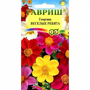 Семена Георгина Веселые ребята