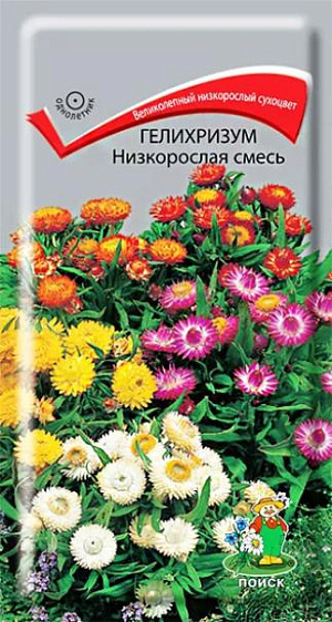 Семена&nbsp;Гелихризум Низкорослая смесь.&nbsp;Компактное ветвистое растение высотой около 30 см. Листья ланцетные сидячие. Соцветия корзинки в ярких листочках обертках самых разнообразных окрасок. Цветет обильно с июля до заморозков. Прекрасно подходит для контейнерной культуры, используют в самых различных цветниках, как бордюрное растение. Великолепный сухоцвет, незаменим для сухих букетов.<br>
Агротехника.&nbsp;Растение предпочитает открытые солнечные места и легкие питательные почвы.&nbsp;Семена на рассаду высевают в марте-апреле. Глубина заделки семян 0,5-1 см. При температуре почвы +18°С всходы появляются через 10-15 дней. Сеянцы содержат при умеренной температуре. В грунт рассаду высаживают, когда минует угроза весенних заморозков. Расстояние между растениями 20 см.&nbsp;