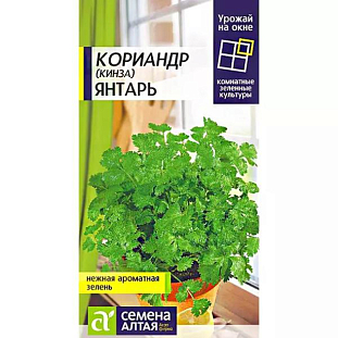 Семена Зелень Кориандр Янтарь