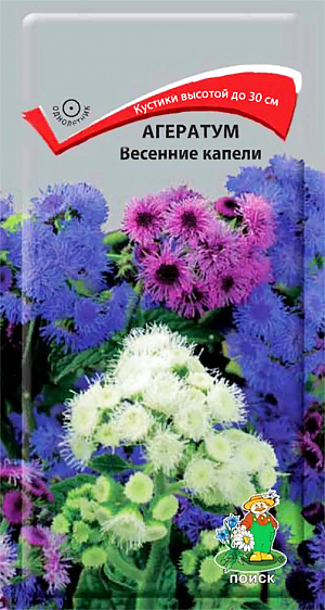Семена Агератум Весенние капели. Соцветия яркой окраски. Компактный кустик высотой до 30 см. Листья крупные, опушенные. Соцветия плотные, крупные 1,7-2,1 см в диаметре. Сорт цветет с середины июня до октября. Хорошо переносит стрижку. Используют для оформления цветников различного назначения.<br>
Агротехника. Растение теплолюбивое, засухоустойчивое. Растет быстро, хорошо развивается на легких, питательных почвах. Предпочитает солнечное место.Размножают посевом семян в конце марта - апреле в рассадные ящики, слегка присыпав их мелкозернистым песком. При температуре почвы +18-21°С всходы появляются на 10-14 день. Сеянцы через 3 недели пикируют. Рассада не выносит сырости. В открытый грунт рассаду высаживают после окончания весенних заморозков, выдерживая расстояние между растениями 15-20 см.