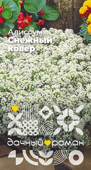 Алиссум Снежный ковёр 

Прекрасное низкорослое растение с медовым ароматом. Разрастаясь, стелется и образует воздушное белое покрывало. Мелкие белоснежные цветки собраны в небольшие шапки и сладким нектаром привлекают в сад пчел. Для непрерывного цветения и аккуратного вида удаляют все отцветшие соцветия.
Выращивают на альпийских горках, в балконных ящиках или по периметру цветников.
Высота: 10–15 см
