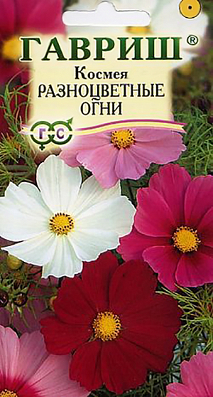 Семена Космея Разноцветные огни.
Однолетнее сильноветвящееся растение из семейства Астровые высотой 50-100 см. Цветет обильно с июля до заморозков.
Цветки ромашковидной формы крупные (10-12 см в диаметре) белой, розовой, красной, бордовой окраски. 
Холодостойка и светолюбива, относительно засухоустойчива. К почвам нетребовательна, предпочитает рыхлые, умеренно плодородные почвы. Выращивают прямым посевом в грунт в конце апреля-начале мая, либо под зиму. 
Используется для посадки на клумбах, в миксбордерах для декорирования оград и стен зданий.