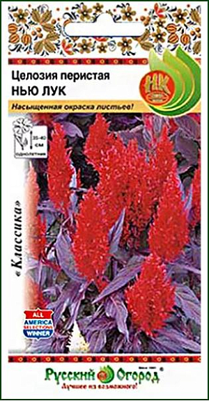 Семена&nbsp;Целозия перистая Нью Лук.<br>
 <br>
 Сорт перистой целозии с привлекательной, фиолетовой окраской листьев и яркими метельчатыми соцветиями. Кустики раскидистые.<br>
 Цветет до заморозков, не теряя декоративности. Применяют для создания низких бордюров, рабаток, клумб, а также как контейнерную и горшечную культуру.<br>
 Подходит для большинства климатических зон.<br>
 <br>
 Культура свето- и теплолюбива. Выращивают через рассаду. Посев поверхностный. При оптимальной температуре 20°С всходы появляются через 7-14 дней.<br>
 Высадка в открытый грунт, когда минует угроза заморозков. Размещают на легких, достаточно плодородных, водопроницаемых&nbsp;&nbsp;почвах. Не переносит свежих органических удобрений.<br>