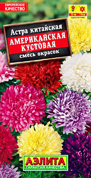 Семена Астра Американская кустовая смесь. Высота растения 70 см <br>
 Диаметр цветка 12 см<br>
 Смесь раннего срока цветения. Формирует широкие, раскидистые кусты высотой 50-60 см. Цветоносы прочные, густооблиственные. Соцветия густомахровые, полусферические или шаровидные, диаметром 7-9 см. На кусте одновременно раскрыты до 15 соцветий. Сорт универсального назначения, подходит для срезки и посадки в цветники. <br>
Посев. Выращивают рассадным способом. С развитием первой пары настоящих листочков сеянцы пикируют. На постоянное место рассаду высаживают в возрасте 30-35 дней. Возможен посев семян в открытый грунт весной или под зиму, в конце октября. Растениям необходимы регулярные поливы, прополки, рыхления и подкормки.