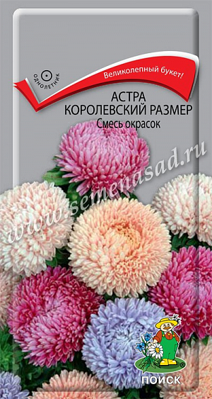 Семена Астра Королевский размер Смесь окрасок. Куст широкораскидистый, высотой до 100 см. Соцветия разнообразной окраски. Цветет в августе - сентябре. Используют очень широко: для посадки в сборные цветники группами, на рабатки - рядами, для бордюров и срезки.<br>
 <br>
 Агротехника. Растение предпочитает открытое солнечное место, но выносит и полутень. Лучше растет на легких, плодородных почвах. Не переносит внесения органических удобрений в год посадки. Семена высевают с середины февраля по апрель. Глубина заделки семян 0,5 см. При температуре почвы +20°C всходы появляются на 7-14 день. Через 3-4 недели посевы пикируют и выращивают при температуре +12-15°C. В грунт рассаду высаживают во второй половине мая, расстояние между растениями 20-30 см. 