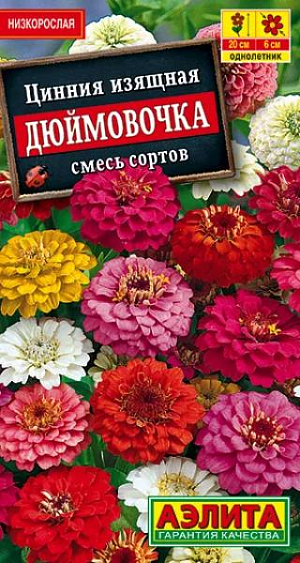 Семена Цинния Дюймовочка смесь окрасок.
Низкорослая яркая смесь махровых цинний. Кустики компактные, густоветвистые, высотой 15-17 см. Соцветия O 5-7 см, устойчивы к воздействию дождя и ветра. Цветение очень обильное и продолжительное. Каждый цветок держится на растении очень долго, до 35 дней. Растения неприхотливые, засухоустойчивые, предпочитают солнечное местоположение. Используются для групповых и одиночных посадок на клумбах, в рабатках и бордюрах. Подходят для выращивания в горшках и балконных ящиках. Агротехника. Выращивают рассадным способом. С развитием первой пары настоящих листочков сеянцы пикируют. В фазе 5-6 листьев проводят формирующую прищипку. Рассаду высаживают в открытый грунт, когда минует опасность заморозков. Растениям необходимы регулярные поливы, прополки, рыхления и подкормки. Возможен посев семян в открытый грунт на глубину 1 см. 