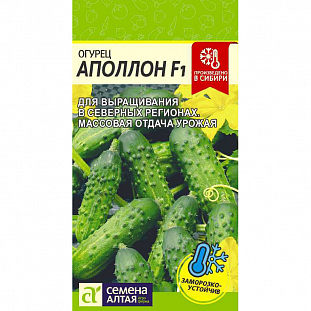 Семена Огурец Аполлон F1