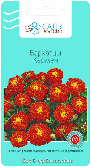 Семена Бархатцы Кармен.
Название говорит само за себя. Яркие, практически красные соцветия, диаметром 4 см, густомахровые, с жёлтым центром. Прекрасно сочетаются с агератумом или синей лобелией. Кустики компактные, плотные.
Африканские бархатцы нам знакомы как шафраны. Традиционно это высокорослые сильные растения, не поддающиеся никаким ветрам. Они великолепны в центре любой круглой клумбы или у заднего края рабатки. Прекрасно стоят в срезке, наполняя комнату нежнейшим ароматом.