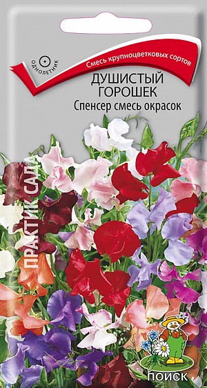 Семена Душистый горошек Спенсер смесь окрасок. Смесь высокорослых крупноцветковых сортов.&nbsp;Лазающие крепкие, хорошо облиственные стебли до 200 см длиной. Цветоносы прочные, упругие, 25-45 см длиной. Цветки крупные, по 5-6 в кисти, с нежным приятным ароматом. Парус цветка с волнистым краем. Цветет с конца июня до заморозков. Используется для вертикального озеленения и на срезку.<br>
 <br>
&nbsp;Растение предпочитает глубоко обработанные, плодородные почвы. Хорошо растет на открытых солнечных местах, может выдержать легкое притенение. Регулярный полив и подкормки способствуют обильному и продолжительному цветению. Размножают посевом семян в открытый грунт в мае, предварительно замоченными в теплой воде в течение 24 часов. Глубина заделки семян 0,5-1 см. При температуре почвы +15-18 °C всходы появляются через 6-10 дней. Расстояние между растениями 15-30 см. Когда растение достигнет высоты 10 см, верхушку побега прищипывают, ставят опоры.&nbsp;