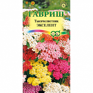 Семена Тысячелистник Экселент
