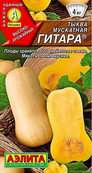 Семена Тыква мускатная Гитара