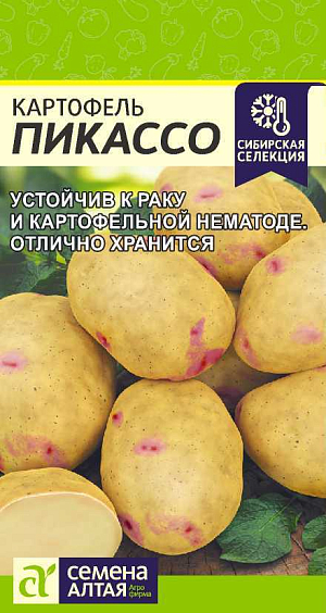 Семена Картофель Пикассо