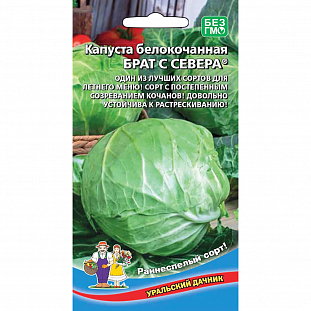 Семена Капуста белокочанная Брат с Севера