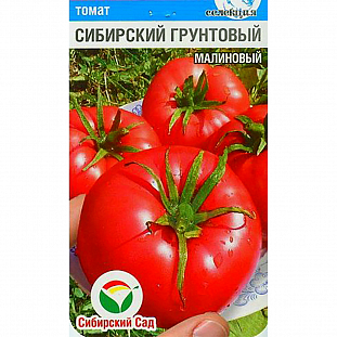 Семена Томат Сибирский грунтовый малиновый