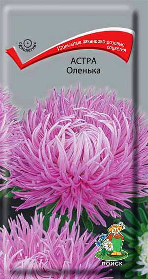 Семена Астра Оленька. Игольчатые лавандово-розовые соцветия.&nbsp;Куст высотой 60-65 см. Соцветия крупные, диаметром 11-12 см. На растении формируется 10-14 соцветий. Цветёт август-октябрь. Используют очень широко: для посадки в сборные цветники группами, на рабатки - рядами и для срезки.<br>
 <br>
 <br>
 Растение предпочитает открытое солнечное место, но выносит и полутень. Лучше растет на легких, плодородных почвах. Не переносит внесения&nbsp; органических удобрений в год посадки. Семена высевают с середины февраля по апрель. Глубина заделки семян 0,5 см. При температуре почвы +20<sup>0</sup>C всходы появляются на 7-14 день. Через 3-4 недели посевы пикируют&nbsp; и выращивают при температуре +12-15<sup>0</sup>C. В грунт рассаду высаживают во второй половине мая, расстояние между растениями 20-30 см.<br>