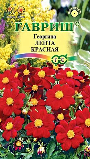 Семена Георгина Лента красная<br>
 <br>
 Одно из любимых однолетних растений для цветников и срезки. Формирует компактный кустик высотой до 40-50 см. Образует многочисленные ветвистые стебли высотой 40-50 см. Цветение продолжительное и обильное с июля до заморозков. Соцветия ярко-красные, диаметром 8-9 см. Предпочитает солнечные, защищенные от ветра участки с рыхлой, плодородной почвой. Выращивается рассадным способом. Посев семян на рассаду проводят в марте-апреле. Используется для посадки на клумбах, рабатках, в группах, контейнерах.<br>