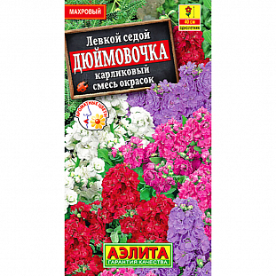 Семена Левкой карликовый Дюймовочка, смесь сортов