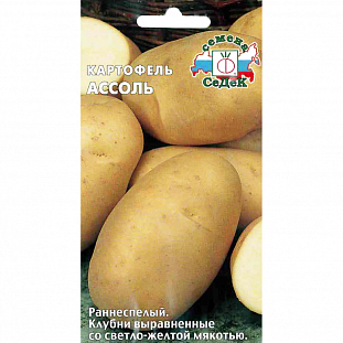 Семена Картофель Ассоль