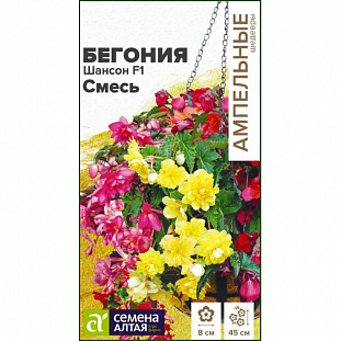 Бегония Шансон F1 смесь