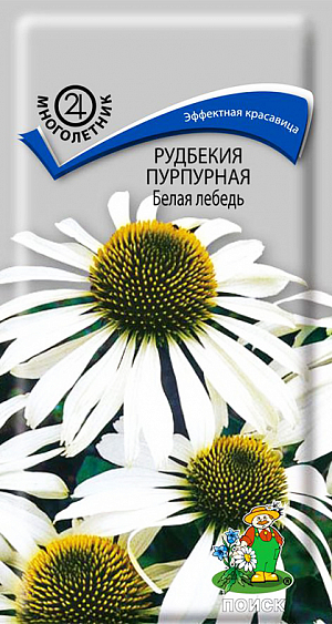 <div>
 Семена Рудбекия Пурпурная Белая лебедь.
</div>
 Декоративное растение для групповых посадок, высотой до 70 см.&nbsp;Крупные соцветия-корзинки диаметром 8-10 см. Язычковые цветки белые. Цветет с июля по сентябрь. Используют для отдельных групп на газоне, в сочетании с низкорослыми многолетниками, около деревьев и срезки.<br>
 <br>
 <b>&nbsp;Агротехника</b>.&nbsp;Растение светолюбивое, предпочитает питательные почвы. При посеве в открытый грунт в мае всходы появляются через 2-3 недели. К концу первого года жизни растения образуется розетка листьев 15-20 см высотой. Зацветает на 2-й год. Для рассады посев производят в феврале – марте в рассадные ящики. При температуре почвы +20°C всходы появляются на 14-20 день. В мае рассаду высаживают в грунт, выдерживая расстояние между растениями 25-30 см. В таком случае растение зацветает в год посева. Семена соответствуют требованиям международных стандартов и ГОСТу РФ 12420-81.
