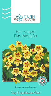 Настурция Пич Мельба 