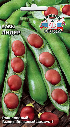 Семена Бобы Лидер