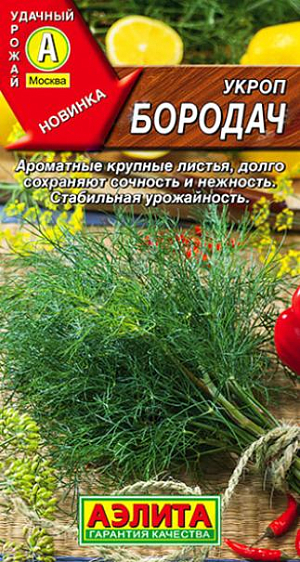 Семена Укроп Бородач