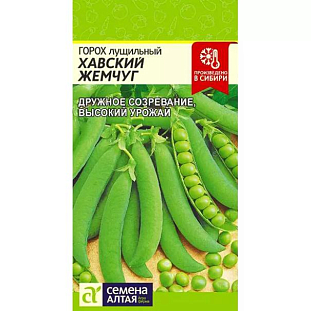 Семена Горох Хавский Жемчуг