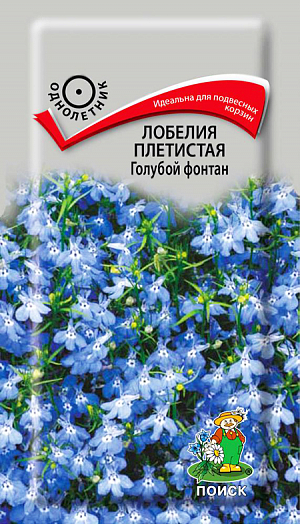 Семена Лобелия плетистая Голубой фонтан.
Идеальный сорт для подвесных корзин и контейнеров. Многолетнее растение, используемое как однолетнее. Красивое травянистое растение со свисающими побегами (длиной до 30 см). Листья светло-зеленые. Цветет с июня по сентябрь.
Агротехника. Растение неприхотливое, наибольшей декоративности достигает на открытых солнечных местах. Предпочитает суглинистые или супесчаные почвы. При выращивании рассады посевы проводят в феврале. Семена слегка вдавливают в почву, землей не присыпают. Посадочную емкость накрывают стеклом и ставят в освещенное теплое место. При температуре почвы +20°C всходы появляются на 7-14 день. Сеянцы пикируют в легкую землю. Рассаду высаживают после окончания весенних заморозков. Для лучшего кущения верхушки молодых растений прищипывают. Семена соответствуют требованиям международных стандартов и ГОСТу РФ 12260-81