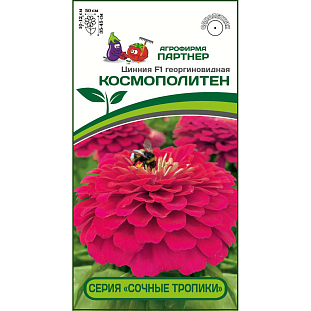 Семена Цинния Космополитен F1