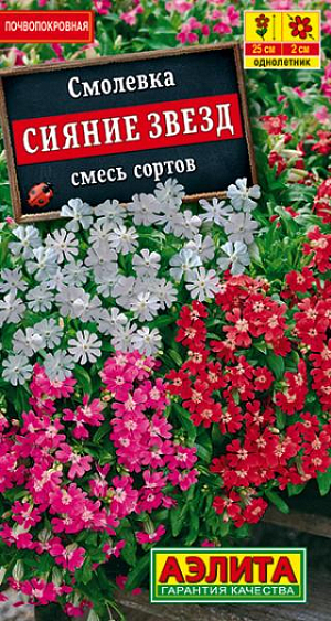 Обильно цветущее, симпатичное растение из семейства Гвоздичных. Цветет все лето. Почвопокровник, образующий густые ковровые заросли. Имеет сильноветвящиеся, опушенные клейкие стебли высотой 25 см. Некрупные звездчатые цветочки&nbsp; Ø 1-2 см собраны в довольно большие метельчатые соцветия. Цветки ароматны вечером и ночью; опыляются ночными бабочками. Смесь представлена белой (30%), розовой&nbsp;(40%) и карминной (30%) окраской. Используется для оформления каменистых садов, низких бордюров, садовых ваз, солнечных балконов, террас.<br>
 <br>
 <b>Смолевка&nbsp;– растение неприхотливое, холодостойкое; болезнями и вредителями не поражается.</b> Чтобы добиться более раннего цветения, выращивают рассаду. Растение лучше всего развивается на солнечных участках с дренированными почвами. На затененных участках цветение ослабевает.
