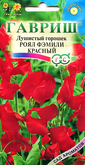 Семена Душистый горошек Роял Фэмили красный.
Растение семейства Бобовые с лазающмими стеблями высотой 200 см.
Цветет с июля по сентябрь.Цветки крупные. ярко-красной окраски, собраны в изящные кисти, обладают приятным тонким ароматом.
Свето-и влаголюбив, холодостоек, предпочитает плодородные суглинистые и супесчаные почвы.
Выращивают рассадным и безрассадным способом.В открытый грунт посев проводят в первой декаде мая.
На рассаду семена высевают в конце марта или в начале апреля в горшочки.Рассаду высаживают в середине мая на растояние 25-30см. 
Семена перед посевом желательно прорастить.Используется в озеленении.
Срезанные цветки хорошо сохраняют свежесть в воде и используются в букетах.
