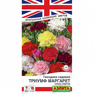 Семена Гвоздика садовая Триумф Маргарет, смесь сортов