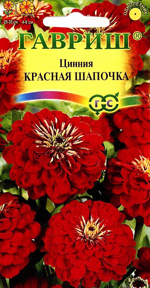 Семена Цинния Красная Шапочка.
Однолетник. Растение высотой 25-35 см. 
Соцветия — корзинки 4-6 см в диаметре, красного цвета. 
Размножают семенами через рассаду, так как цинния чувствительна даже к самым легким заморозкам. 
Перед посевом семена желательно замочить. Посев в апреле, на глубину 1 см. 
Высадка в цветник производится после окончания весенних заморозков, выдерживая расстояние между растениями 20-25 см. 
Если рассада вытянулась, ее можно заглубить, так как у цинний быстро образуются придаточные корни. 
На юге циннию размножают прямым посевом в грунт в апреле-мае с последующим прореживанием. 
Начало цветения через 2,5 месяца после посева. Цветет очень обильно и продолжительно с середины июня до заморозков.
Каждый цветок держится на растении долго, до 35 дней. Используют в клумбах, рабатках, больших массивах и для срезки.
Особенно хорошо циннии смотрятся группой. Цветы долго стоят в воде, сохраняя яркость окраски. Их срезают, когда соцветие раскроется на 3/4, концы стеблей обжигают или обрезают в горячей воде. Подвядшему букету цинний можно вернуть свежесть, поместив его в горячую воду и предварительно обновив нижний косой срез.