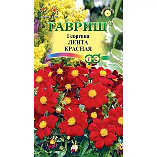 Семена Георгина Лента красная