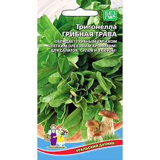 Семена Тригонелла Грибная трава Семена Тригонелла Грибная трава