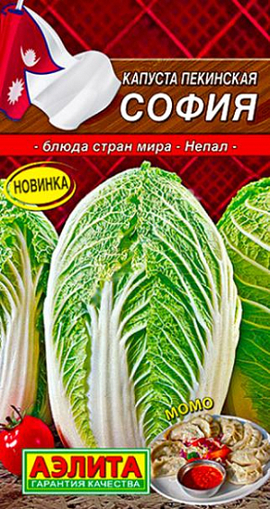 Семена Капуста пекинская София