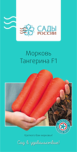 Семена Морковь Тангерина F1
