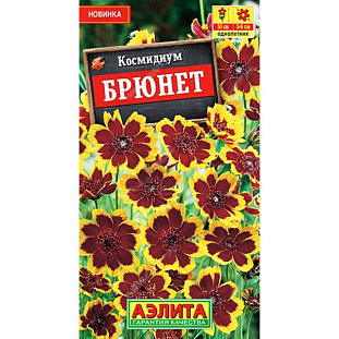 Семена Космидиум Брюнет