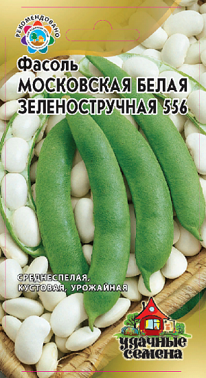 Семена Фасоль Московская белая зеленостручковая 556