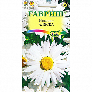 Нивяник Аляска Нивяник Аляска