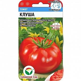 Семена Томат Клуша