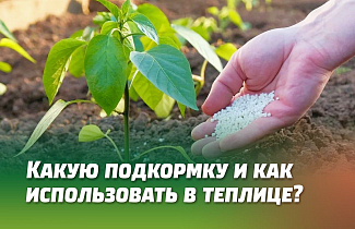 КАКУЮ ПОДКОРМКУ И КАК ИСПОЛЬЗОВАТЬ ДЛЯ РАЗЛИЧНЫХ РАСТЕНИЙ В ТЕПЛИЦЕ
