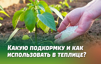КАКУЮ ПОДКОРМКУ И КАК ИСПОЛЬЗОВАТЬ ДЛЯ РАЗЛИЧНЫХ РАСТЕНИЙ В ТЕПЛИЦЕ