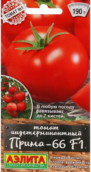 Семена Томат Прима-66 F1
