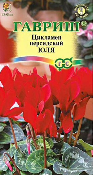 Семена Цикламен Юля.<br>
 <br>
 &nbsp;Многолетнее клубневое растение семейства Первоцветные. Цветки очень ароматные, цветонос достигает длины 15-20 см. Цветет с поздней осени до конца апреля, летом находится в состоянии покоя. Оптимальный срок посева — конец августа. Семена цикламена туговсхожие, появление всходов приходится ждать от 1- до 3-х месяцев. Наилучший результат предпосевной обработки семян дает контрастная термическая обработка: семена помещают на 2 сек. в горячую (+90…95 С) воду, затем на 2 сек. в холодную, операцию повторяют дважды. Посев производят в горшки с листовой и торфяной землей (1:1). Сверху семена присыпают слоем земли 0,5-1 см., обильно поливают, накрывают темной пленкой. При t +20°C всходы появляются через 30-40 дней. После появления всходов притенение снимают, температуру снижают до +15…17 °C. Когда образуются маленькие клубеньки с двумя листочками, пикируют в ящики со смесью из листовой, торфяной земли и песка (2:1:0,5). При пересадках у молодых растений верх клубенька должен находиться у самой поверхности почвы (не глубже 0,5 см.). У взрослых растений верх клубня обычно открыт. В период покоя сбрасывает листья.<br>
 <br>
 &nbsp;Выращивают на северных и восточных окнах, на южном притеняют от прямых солнечных лучей. Зимой содержат на светлом месте при температуре не выше +8…100С. Летом необходимо выполнять приемы по поддержке роста растений: поливать исключительно через поддон, опрыскивать водой комнатной температуры, удобрять. Удобряют не более 2-3 раз за лето, преимущественно азотно-калийными удобрениями.<br>
